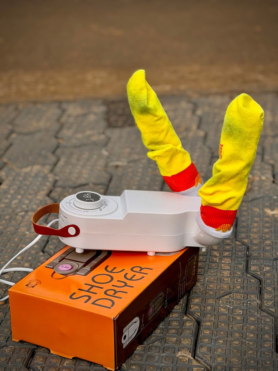 Shoe Dryer